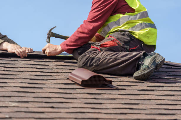 Best Storm Damage Roof Repair  in Diaz, AR