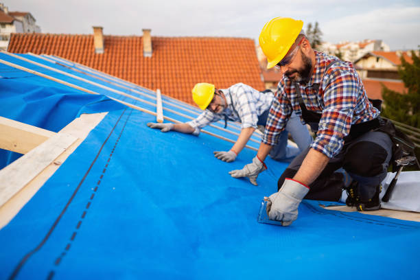 Best Tile Roofing Contractor  in Diaz, AR